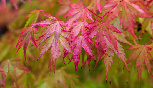 1699688 (a): :2560x1473